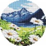 Алмазна мозаїка на круглому підрамнику "Ніжні ромашки", 19 см (Ідейка)