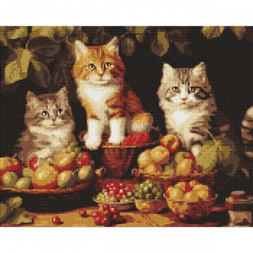 Алмазная мозаика "Котики и фрукты" 40х50 см (Ідейка)