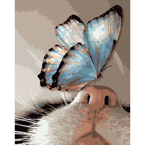 Картина по номерам "Бабочка на носике" 40x50 см (Strateg)