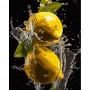 Картина за номерами на чорному фоні "Яскраві лимони" 40х50 (Strateg)