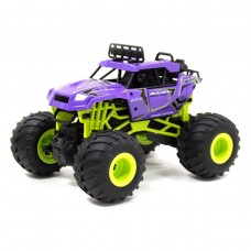 Машинка на радіокеруванні BIGFOOT OFF-ROAD – VIOLET (1:16, 27 МГц (MHz))