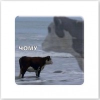 3D стикер 