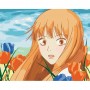 Картина за номерами (без підрамника) "Аніме. Kimi ni Todoke" 40х50 см (art craft)