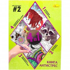 Книга-розмальовка антистрес 4в1 (Вид 2)