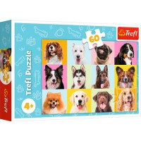 Пазли - (60 елм.) - 