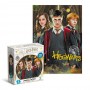 Пазл "Harry Potter. Гаррі та друзі", 250 елементів (Dodo)