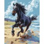 Картина по номерам "Благородный скакун" 40х50 см (art craft)
