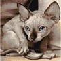 Картина за номерами "Сфінкс 30х30 см (Art Story)