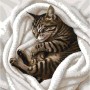 Картина за номерами "Солодкий сон" 30х30 см (Art Story)