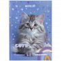 Школьный дневник, твёрдая обложка, RH (Kite)
