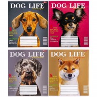 Тетрадь цветная 12 листов, клетка (20 штук в упаковке)