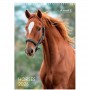 Календар настінний А3 2026 р., Horses (Axent)