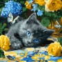 Картина за номерами "Кошення блакитнооке" 40х40 см (Ідейка)