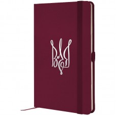 Книга записна Partner, 125*195, 96арк, кліт, винна, Воля