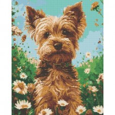 Алмазна мозаїка 