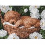 Алмазная мозаика "Спящий пудель" 30x40см (Ідейка)