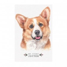 Блокнот, 64 аркуша, клітинка (КОРГІ)