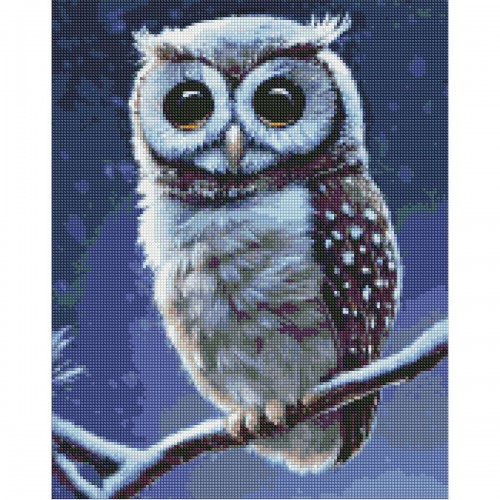 Алмазна мозаїка "Лісова совушка" (Ідейка)