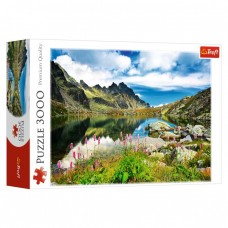 Пазли 3000 ел, 