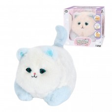 Кошеня в коробці