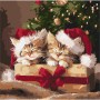 Картина по номерам "Пушистые подарки" 40х40 см (Ідейка)