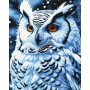 Картина за номерами "Нічний птах" 40х50 см (art craft)