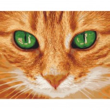 Картина за номерами 