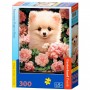 Пазли "Цуценя померанського шпіца в трояндах", 300 елементів (Castorland)