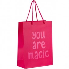 Пакет подарочный (18х24 см)