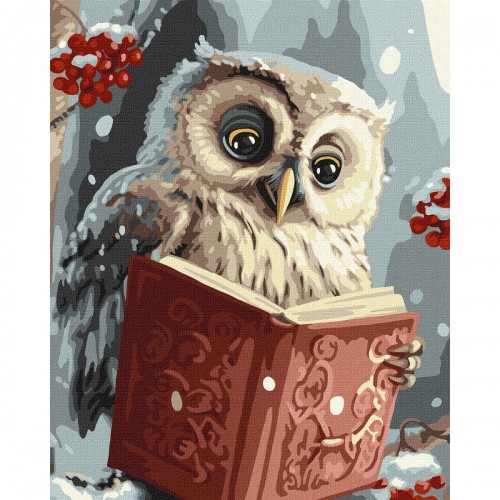 Набір для розпису по номерах. "Розумна совушка" 40х50см (Ідейка)