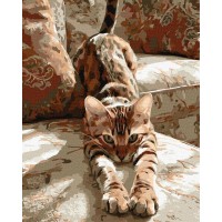 Картина за номерами - Ранкова розминка 40х50 см.