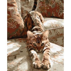 Картина за номерами - Ранкова розминка 40х50 см.