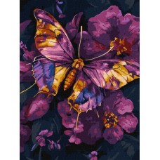 Картина по номерам - Золотая бабочка с красками металлик extra 30х40 см.