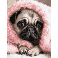 Картина по номерам – Закутанный мопс 30х40 см.