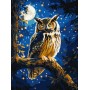Картина по номерам – Ночная сова с красками металлик extra 30х40 см. (Ideyka)
