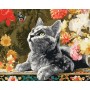 Картина по номерам - "Котенок и бабочки" ©art_selena_ua, 40х50см (Ideyka)