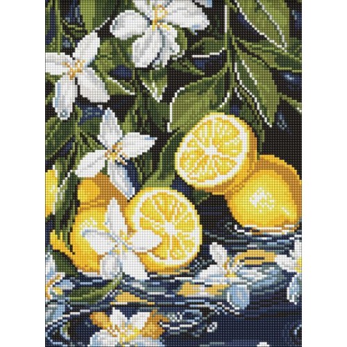 Алмазна мозаїка - "Лимони в розрізі" ©art_selena_ua, 30х40см (Ideyka)