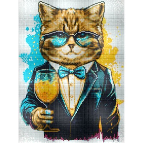 Алмазна мозаїка - "Містер Кіт" ©pravda.dmtr, 30х40см (Ideyka)