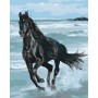 Картина по номерам "Черная лошадь" 48x60 см. (Brushme)