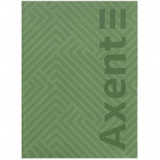 Книга записная 4- 203*273 мм, 96арк., кл., Pattern, зеленая