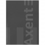 Книга записная A4- 203*273 мм, 96арк., кл., One color, серая (Axent)