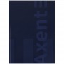 Книга записная A4- 203*273 мм, 96арк., кл., One color, синяя (Axent)