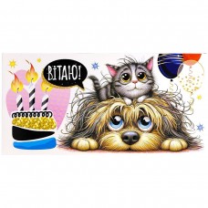 Конверт поздравительный (для денег) 16.5х9х0,5 см