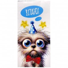 Конверт поздравительный (для денег) 16.5х9х0,5 см