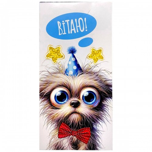 Конверт поздравительный (для денег) 16.5х9х0,5 см (FIESTA)