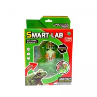 Набір для дослідів  Анатомія тварин, Жаба