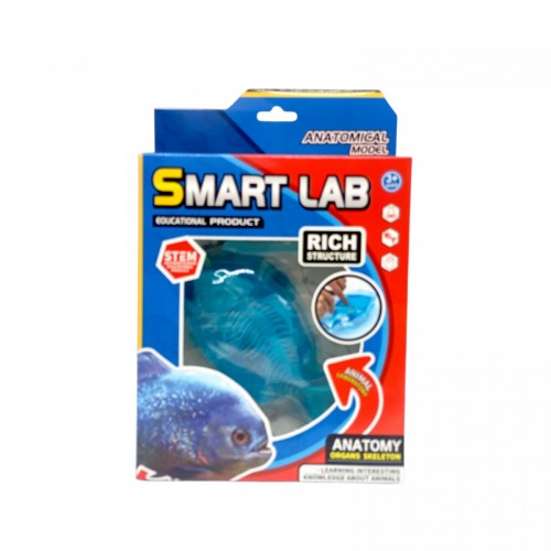 Набір для дослідів Анатомія тварин, Піранья (MiC)