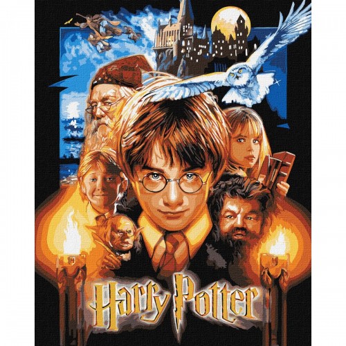 Картина за номерами з фарбами металік "Harry Potter: Постер" 40х50 см (Ідейка)