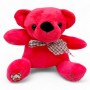 МʼЯКА ІГРАШКА ВЕДМЕДИК 15 СМ (РОЖЕВИЙ) (MiC)