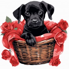 Картина по номерах 